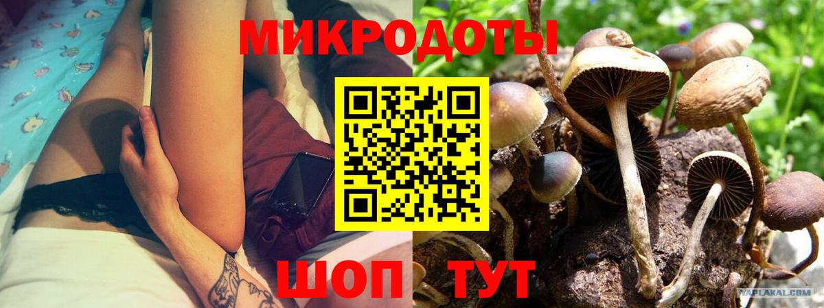 Псилоцибиновые грибы мухоморы Ржев